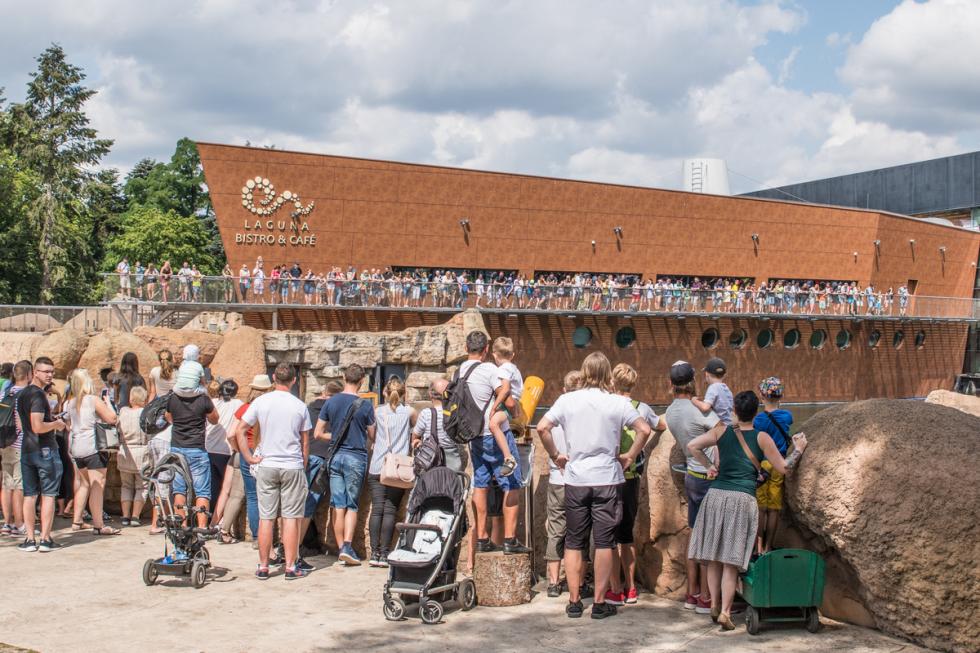 Rekordowe wakacje - 620 tys. osób odwiedziło wrocławskie zoo 